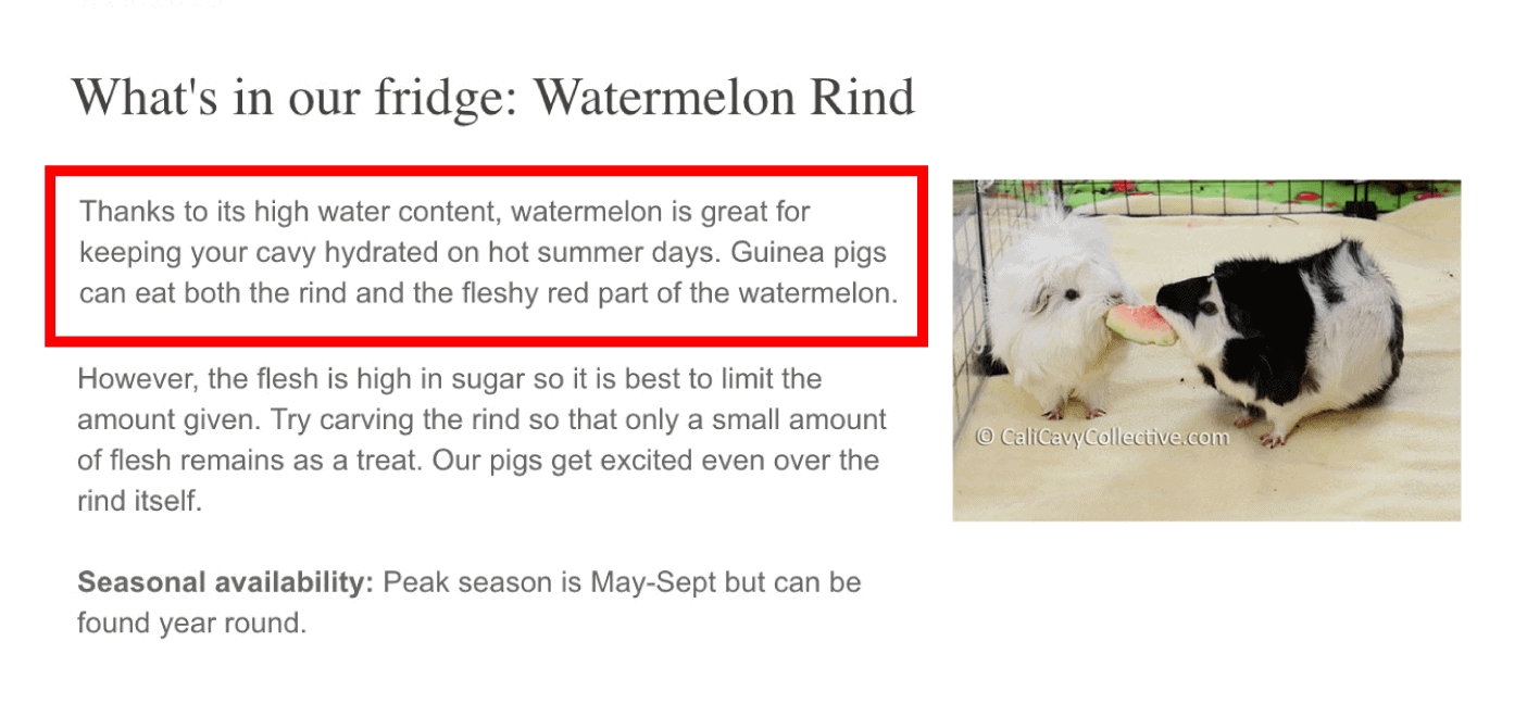 Guinea pigs Guinea pigs