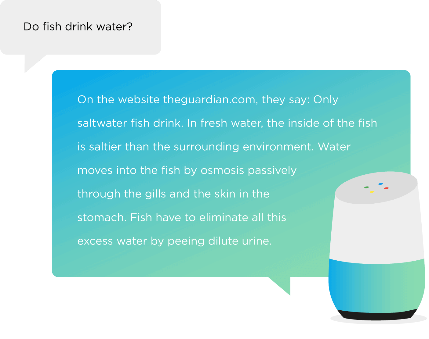 Google Home – Question/Answer Google Home – Question/Answer