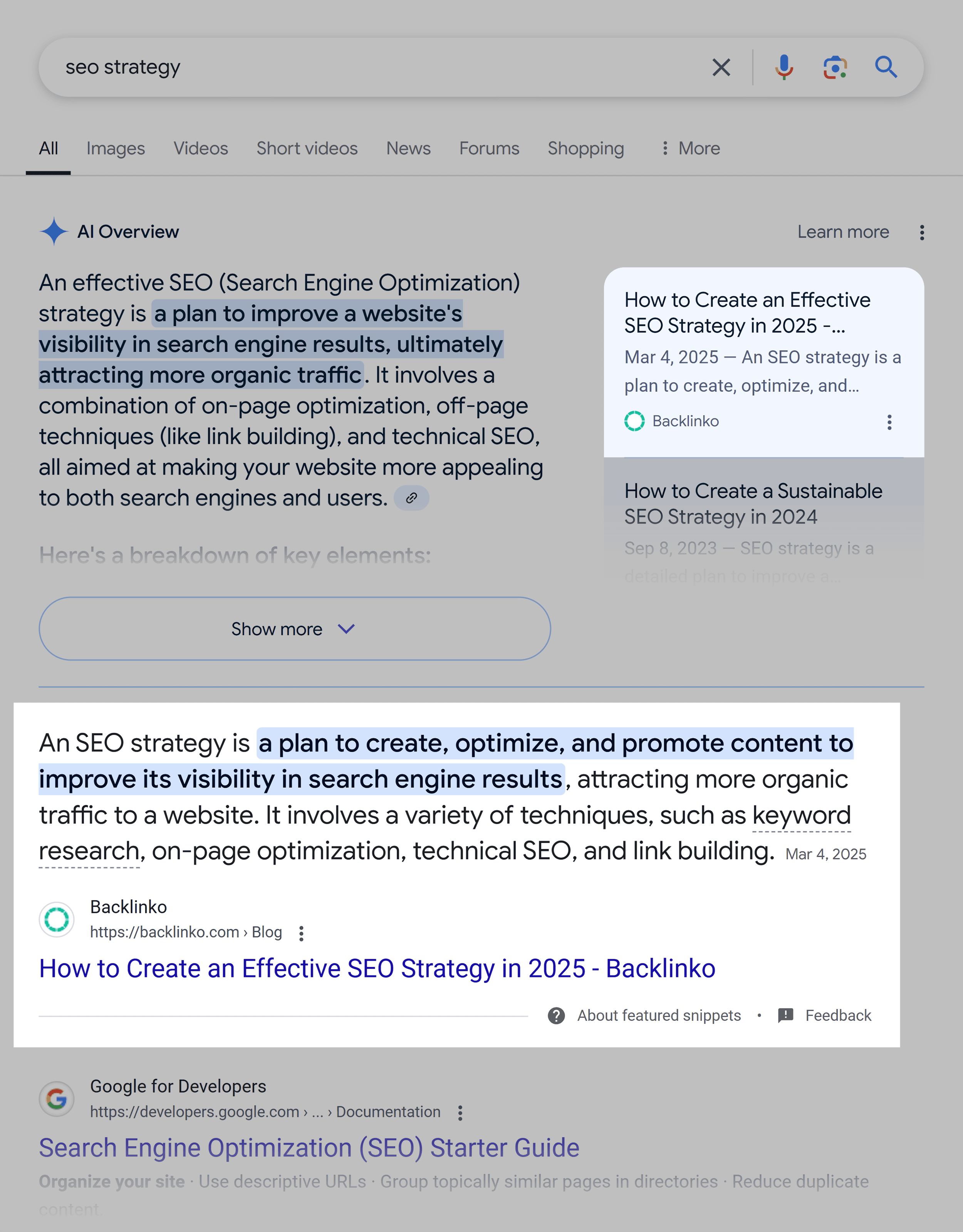 Google SERP – SEO strategy